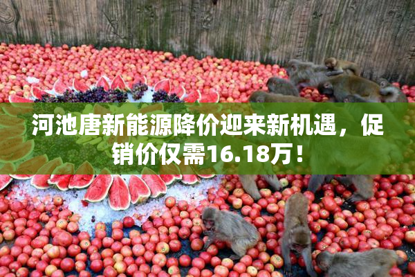 河池唐新能源降价迎来新机遇，促销价仅需16.18万！