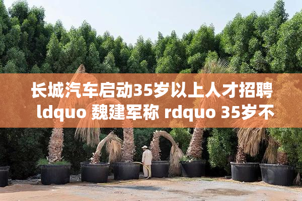长城汽车启动35岁以上人才招聘  ldquo 魏建军称 rdquo 35岁不