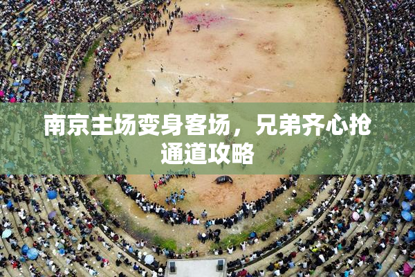 南京主场变身客场，兄弟齐心抢通道攻略