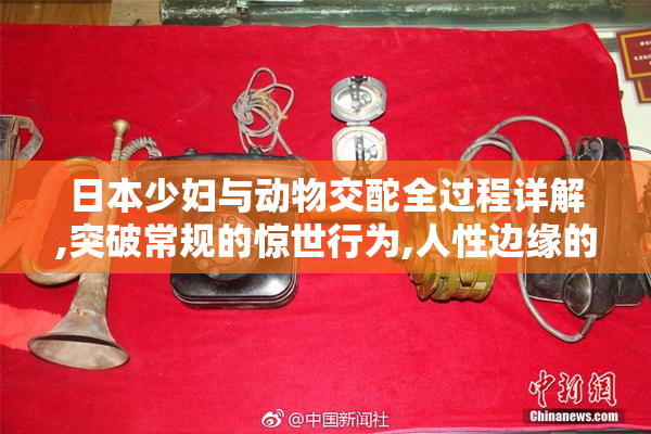 日本少妇与动物交酡全过程详解,突破常规的惊世行为,人性边缘的