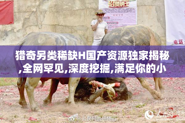 猎奇另类稀缺H国产资源独家揭秘,全网罕见,深度挖掘,满足你的小众