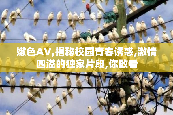 嫩色AV,揭秘校园青春诱惑,激情四溢的独家片段,你敢看