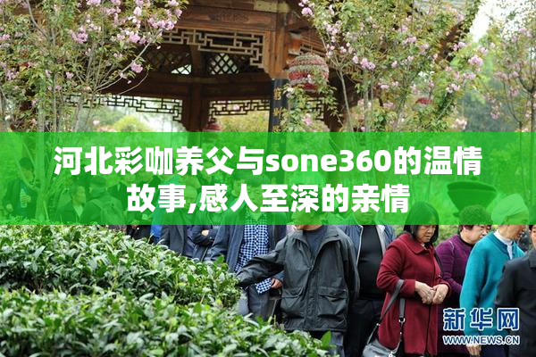 河北彩咖养父与sone360的温情故事,感人至深的亲情