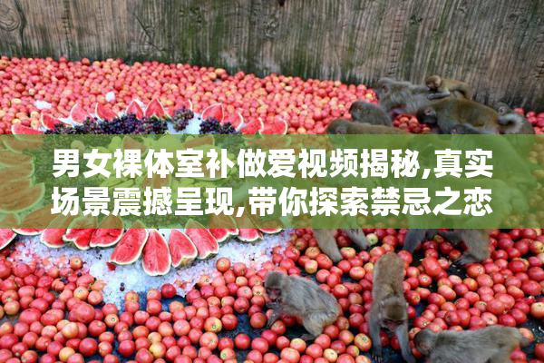 男女裸体室补做爱视频揭秘,真实场景震撼呈现,带你探索禁忌之恋的