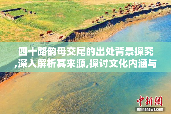四十路韵母交尾的出处背景探究,深入解析其来源,探讨文化内涵与