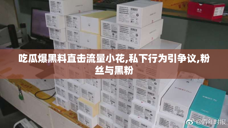 吃瓜爆黑料直击流量小花,私下行为引争议,粉丝与黑粉