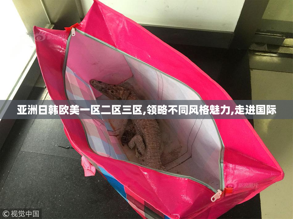 亚洲日韩欧美一区二区三区,领略不同风格魅力,走进国际