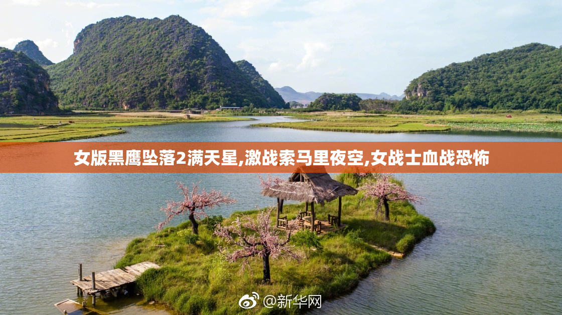 女版黑鹰坠落2满天星,激战索马里夜空,女战士血战恐怖