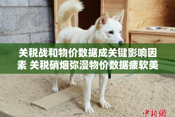 关税战和物价数据成关键影响因素 关税硝烟弥漫物价数据疲软美元