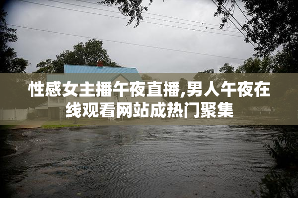 性感女主播午夜直播,男人午夜在线观看网站成热门聚集
