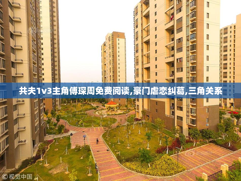 共夫1v3主角傅琛周免费阅读,豪门虐恋纠葛,三角关系
