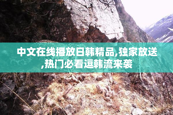 中文在线播放日韩精品,独家放送,热门必看逗韩流来袭
