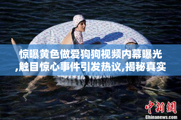惊曝黄色做爱狗狗视频内幕曝光,触目惊心事件引发热议,揭秘真实