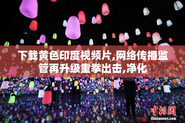 下载黄色印度视频片,网络传播监管再升级重拳出击,净化