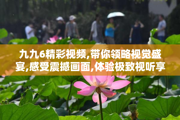 九九6精彩视频,带你领略视觉盛宴,感受震撼画面,体验极致视听享受