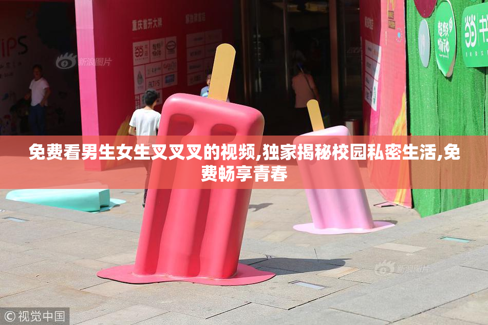 免费看男生女生叉叉叉的视频,独家揭秘校园私密生活,免费畅享青春