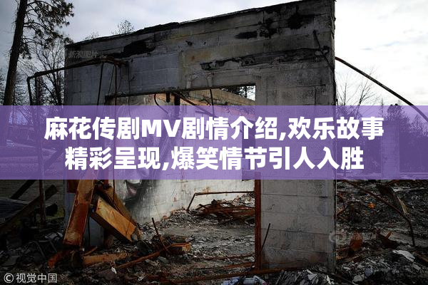 麻花传剧MV剧情介绍,欢乐故事精彩呈现,爆笑情节引人入胜