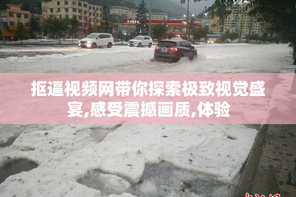 抠逼视频网带你探索极致视觉盛宴,感受震撼画质,体验