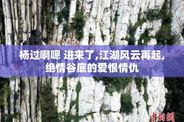 杨过啊嗯 进来了,江湖风云再起,绝情谷底的爱恨情仇