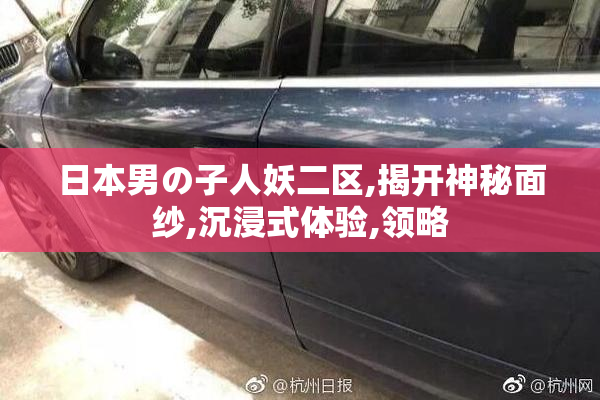 日本男の子人妖二区,揭开神秘面纱,沉浸式体验,领略