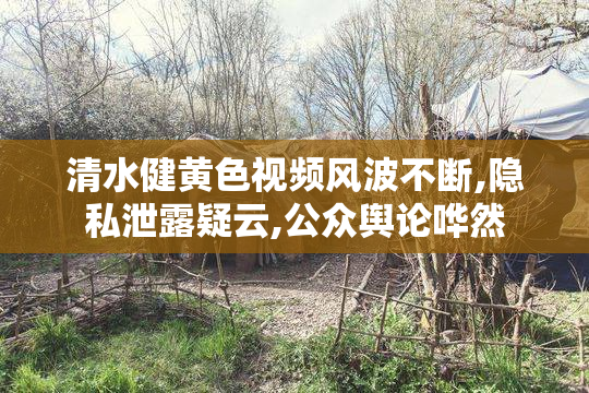 清水健黄色视频风波不断,隐私泄露疑云,公众舆论哗然