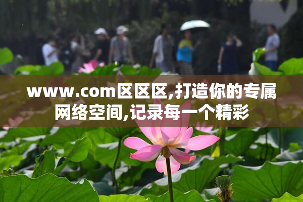 www.com区区区,打造你的专属网络空间,记录每一个精彩