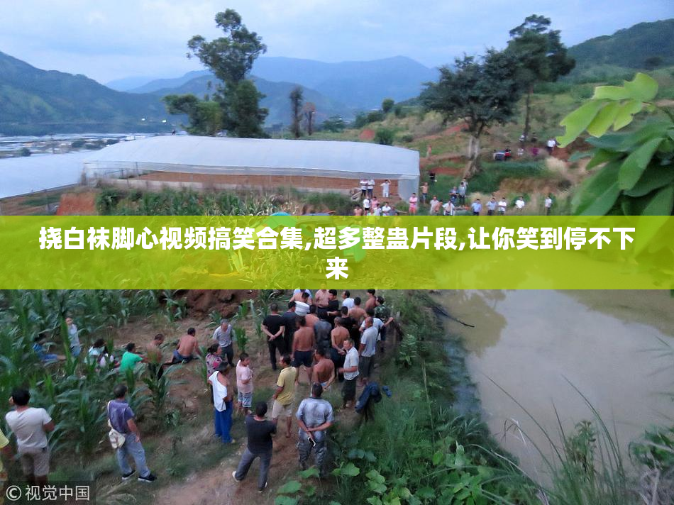 挠白袜脚心视频搞笑合集,超多整蛊片段,让你笑到停不下来