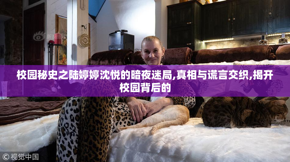 校园秘史之陆婷婷沈悦的暗夜迷局,真相与谎言交织,揭开校园背后的
