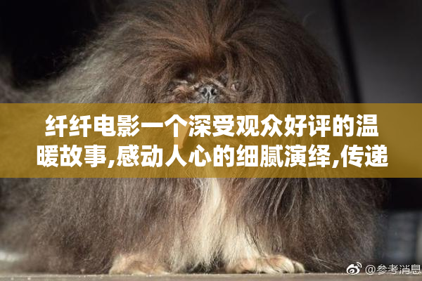 纤纤电影一个深受观众好评的温暖故事,感动人心的细腻演绎,传递爱