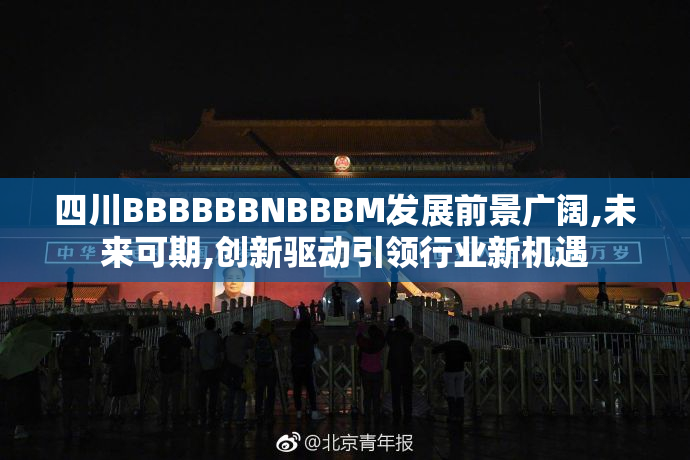 四川BBBBBBNBBBM发展前景广阔,未来可期,创新驱动引领行业新机遇