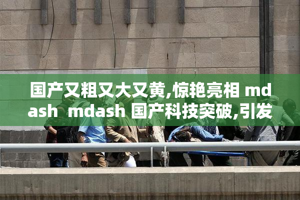 国产又粗又大又黄,惊艳亮相 mdash  mdash 国产科技突破,引发行业热议,再创