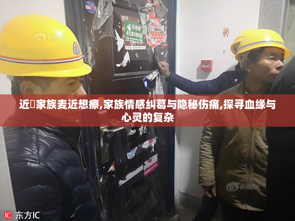 近親家族麦近想瘵,家族情感纠葛与隐秘伤痛,探寻血缘与心灵的复杂