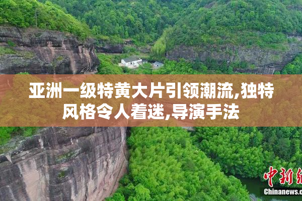 亚洲一级特黄大片引领潮流,独特风格令人着迷,导演手法