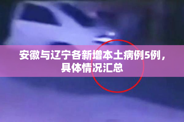 安徽与辽宁各新增本土病例5例，具体情况汇总