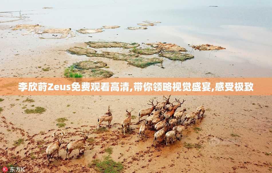 李欣莳Zeus免费观看高清,带你领略视觉盛宴,感受极致