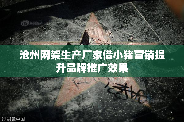 沧州网架生产厂家借小猪营销提升品牌推广效果