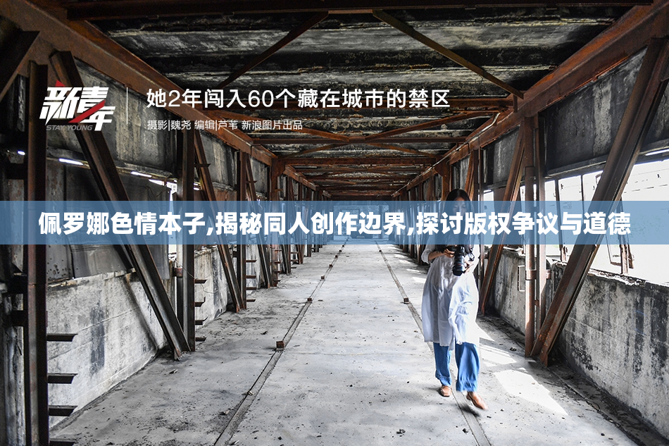 佩罗娜色情本子,揭秘同人创作边界,探讨版权争议与道德