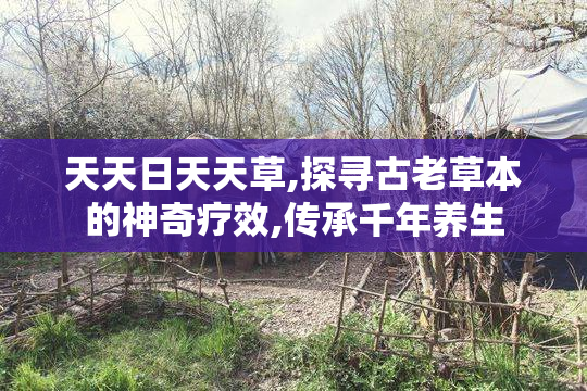 天天日天天草,探寻古老草本的神奇疗效,传承千年养生