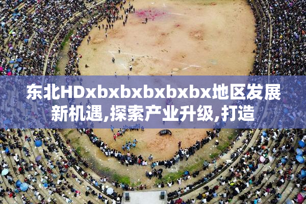 东北HDxbxbxbxbxbx地区发展新机遇,探索产业升级,打造