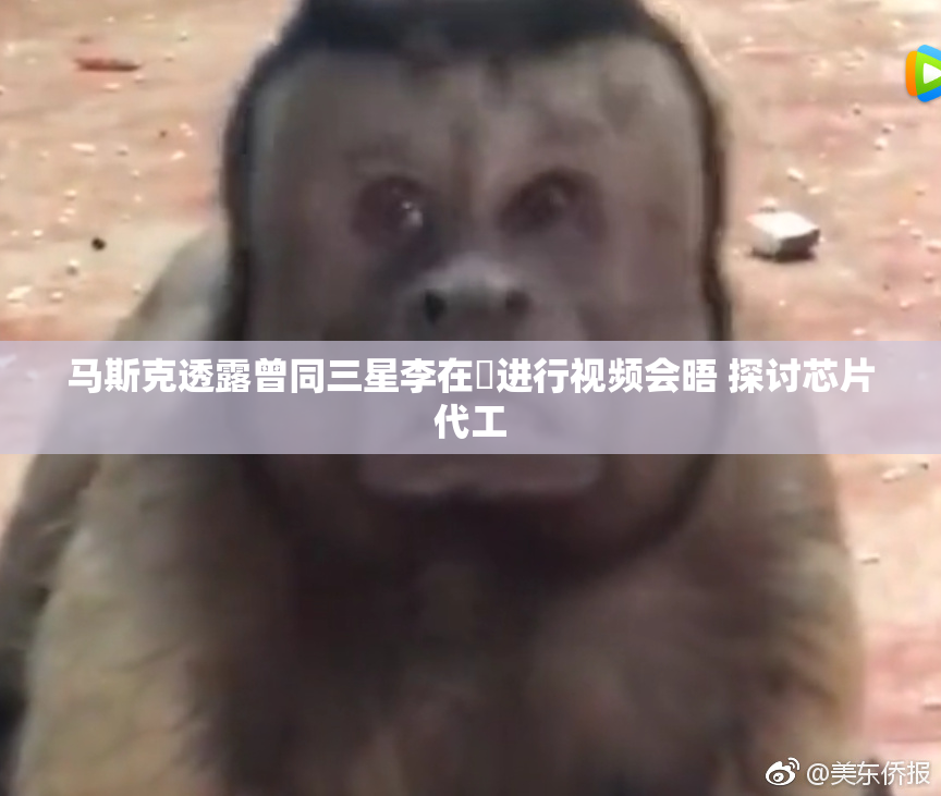 马斯克透露曾同三星李在镕进行视频会晤 探讨芯片代工