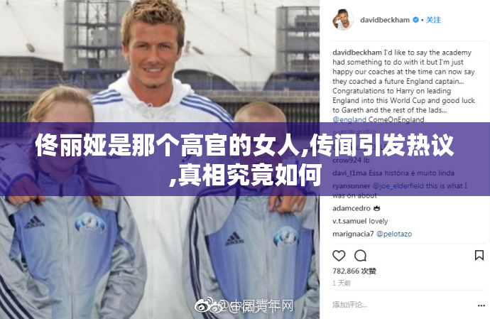 佟丽娅是那个高官的女人,传闻引发热议,真相究竟如何