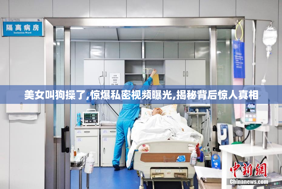 美女叫狗操了,惊爆私密视频曝光,揭秘背后惊人真相