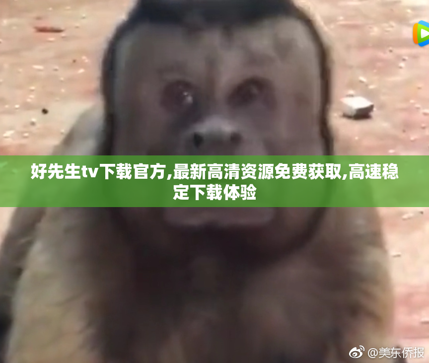 好先生tv下载官方,最新高清资源免费获取,高速稳定下载体验