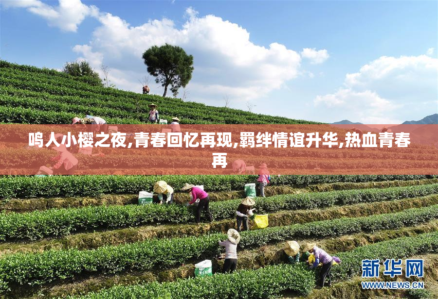 鸣人小樱之夜,青春回忆再现,羁绊情谊升华,热血青春再