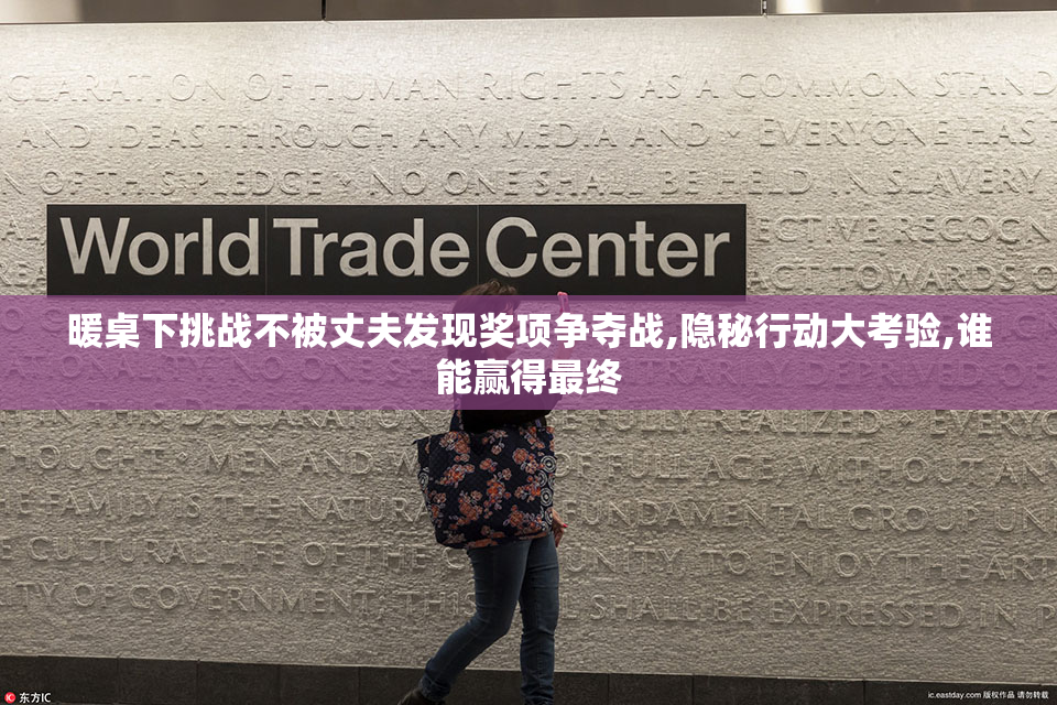 暖桌下挑战不被丈夫发现奖项争夺战,隐秘行动大考验,谁能赢得最终