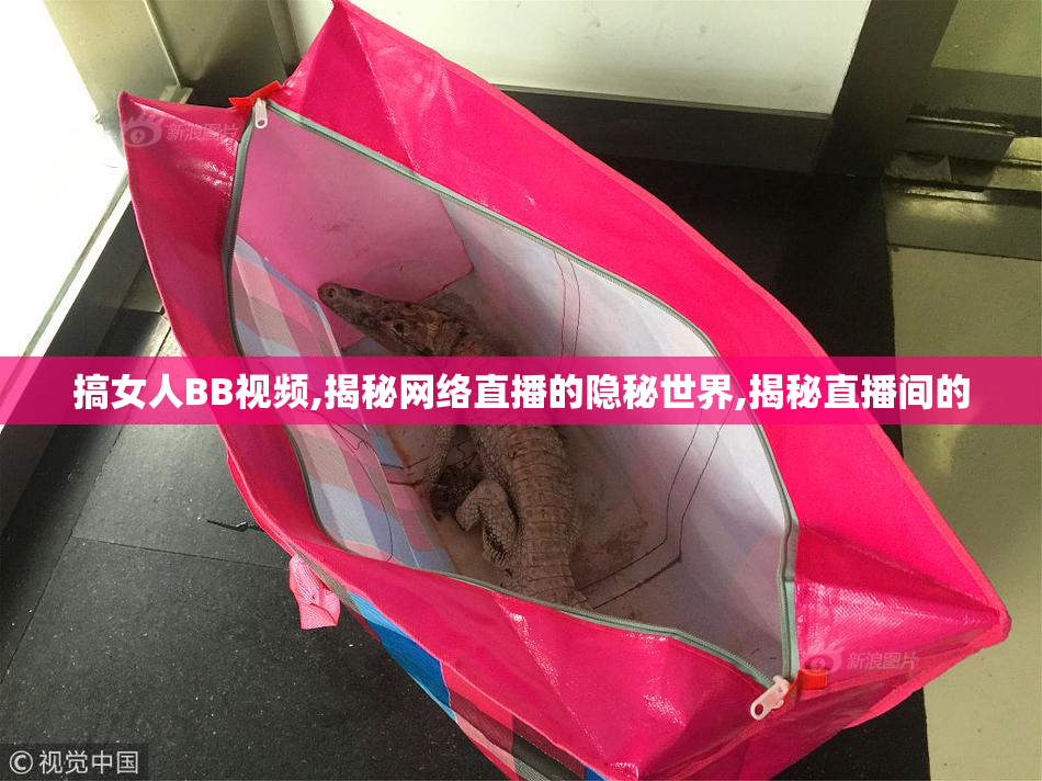 搞女人BB视频,揭秘网络直播的隐秘世界,揭秘直播间的