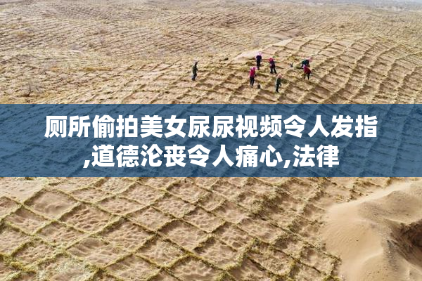 厕所偷拍美女尿尿视频令人发指,道德沦丧令人痛心,法律