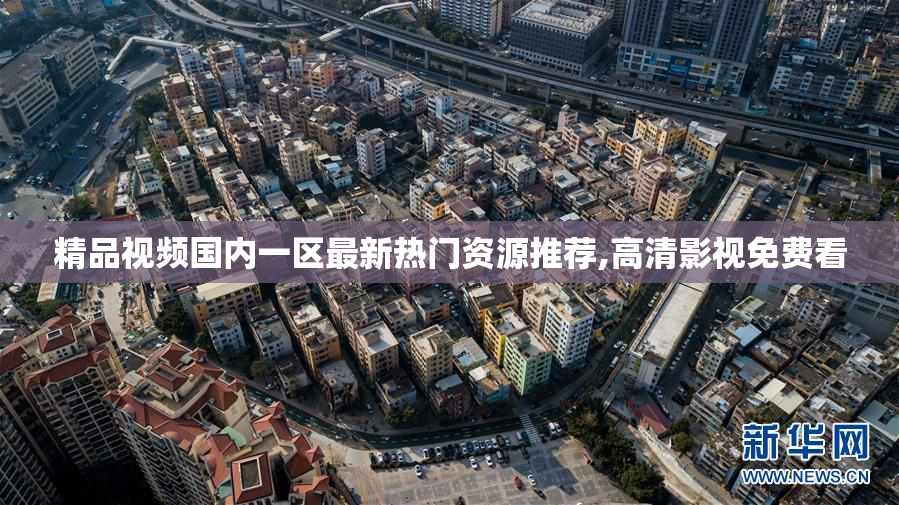 精品视频国内一区最新热门资源推荐,高清影视免费看