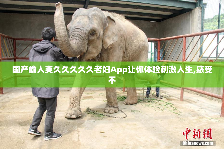 国产偷人爽久久久久久老妇App让你体验刺激人生,感受不