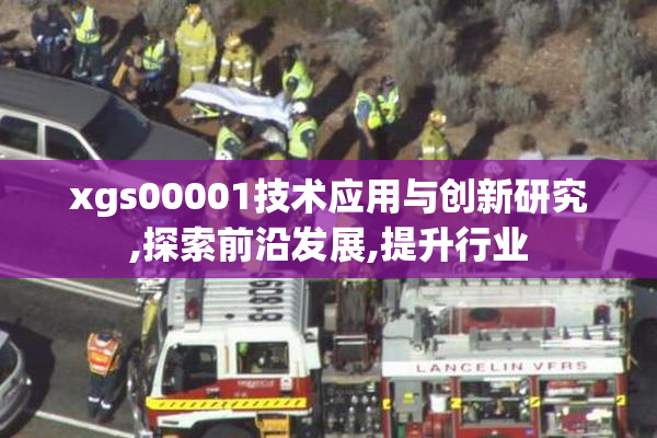 xgs00001技术应用与创新研究,探索前沿发展,提升行业